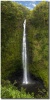 "Akaka Falls" Big Island waterfall by Mark Middleton Akaka Falls