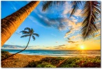 charleyspalmsunset_1024