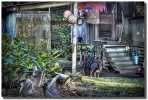 "Hana Shack" by Shayla Middleton Hana Shack