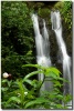 Kuuipo Falls