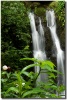 "Kuuipo Falls" by Shayla Middleton Kuuipo Falls