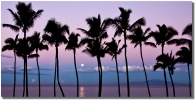 "Maui Sublime" Wailea, Maui by Mark Middleton Maui Sublime