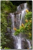 "Milky Falls" Road to Hana by Mark Middleton Milky Falls