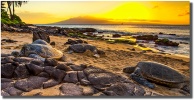 Ohana Sunset in West Side by Mark Middleton Ohana Sunset