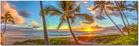 summerdreams-3to1_1024_1716957058