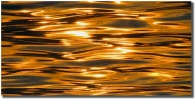 "Sunrise Glass" glorious sunrise reflections off a calm Pacific Ocean Sunrise Glass