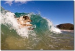 "Surf's Up" Kai the surfing dog enjoys a nice size barrel and takes it in perfect form all the way to shore. Surf's Up
