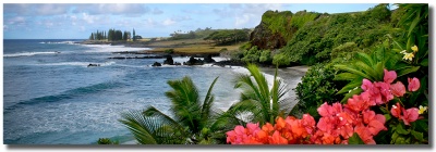 Hamoa beach Hana, Maui by Shayla Middleton Hamoa