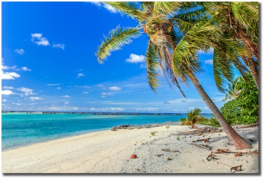 Coconutisland1024shadow