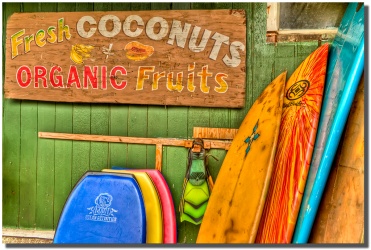 "Fresh Coconuts" Cool surf board and sign in Hana by Shayla Middleton Fresh Coconuts