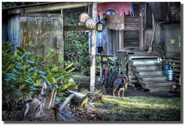 "Hana Shack" by Shayla Middleton Hana Shack