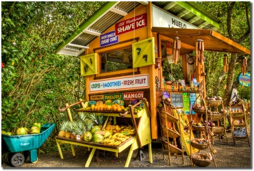 "Huelo Lookout" road to Hana by Shayla Middleton Huelo Lookout