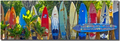 "Kaohu Farms" surfboard fence by Mark Middletong Kaohu Farms