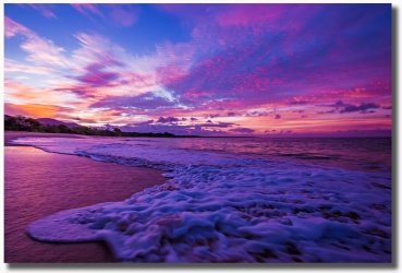 "Magenta Skies" by Shayla Middleton Magenta Skies