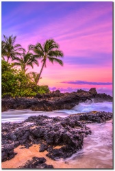 "Maui Sunrise" by Shayla Middleton Maui Sunrise