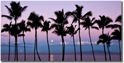 "Maui Sublime" Wailea, Maui by Mark Middleton Maui Sublime