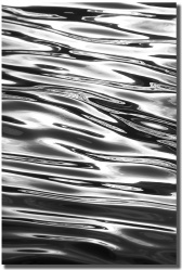 "Metal Fever" by Mark Middleton Metal Fever