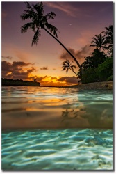 "A New Day Breaking" by Mark Middleton A New Day Breaking