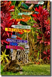 "New Hana Signpost" in Hana by Shayla Middleton New Hana Signpost