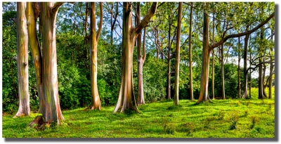 Standingrainbows1024shadow standingrainbows1024shadow