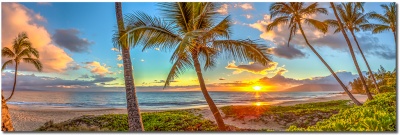 Summerdreams 3to1 1024 1716957058 summerdreams-3to1_1024_1716957058