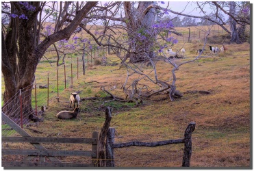 Upcountryevening1024shadow upcountryevening1024shadow