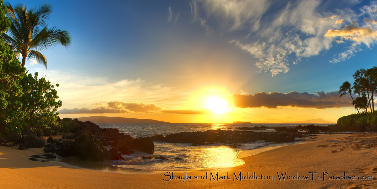 Hawaiianparadise Web